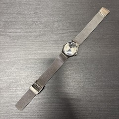 Skagen Denmark Steel Ladies Watch 233XSSTM 24mm Miyota Co 5Y20 Movement