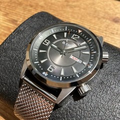 BERNY 41.5mm Automatic Compressor Dive Watch Sunray dial extra mesh strap