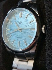 WM Men Welly VH-31 MecaQuartz 100M Sapphire Birch Forest Series SS Dress Watch