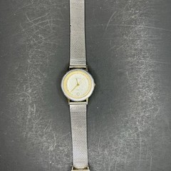 Skagen 28mm Silver Case Silver Dial Gold Hands Dot Indices SS Mesh Band, 7.25″