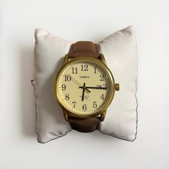 Timex TW2P75800 Easy Reader 20MM Lug
