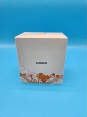 CASIO Sa Watch sauna watch SAN 100H 7BJR