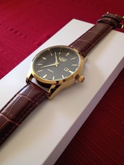 LIGE Men’s Analog Quartz Watch Gold Case Black Dial Date Brown Leather