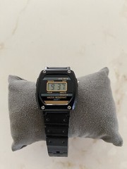 Hanig & Co Watch Hour, Minute, Second, Month, Date Water Resistant 100ft Sport