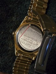Centina Metal Gold Plated Quartz Swiss Movement Groove Bezel Stainless Steel