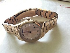 Michael Kors MK6071 Rose Gold Tone Stainless Steel Women’s 34mm Watch