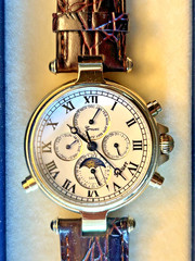 Stauer Graves 33 Automatic Wrist Watch for Men Brown & Black Leather New in Box!