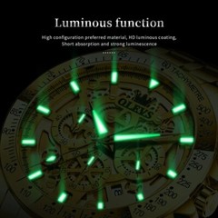 Waterproof Quartz Luminous OLEVS Business Luxury Men Watch Date Strap Gold Watch