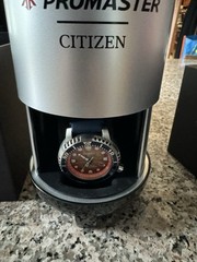Citizen Promaster Dive Orange Dial Men’s Watch BN0169-03X