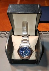 Philip Persio Men’s Professional Quartz Watch 39mm Vintage Case