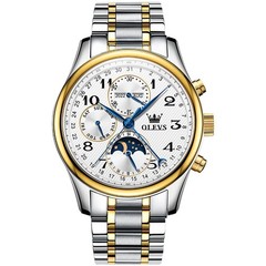 OLEVS 6667 Stylish Multi-functiom Water Resistant Casual Formal Mechanical Watch