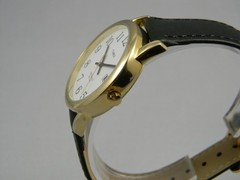 Timex Indiglo Watch Men Easy Reader 35mm Gold Tone Date New Band New Battery