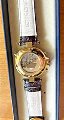 Stauer Graves 33 Automatic Wrist Watch for Men Brown & Black Leather New in Box!